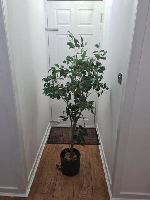 Lovely 2 Bedroom Garden Flat In Trendy West End Glasgow Exterior photo